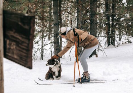 Woman cross country skiing with a dog