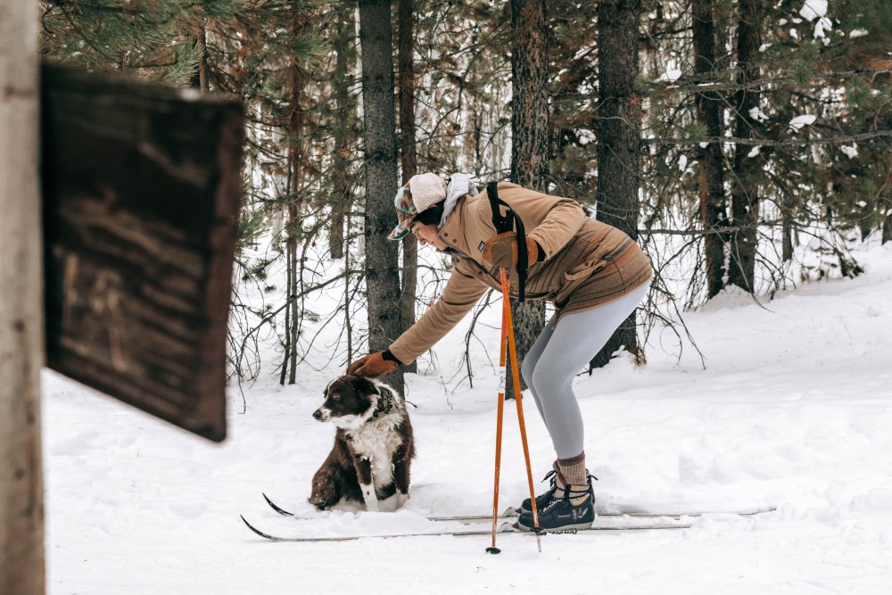 Learn how to ski safely with your dog and avoid a trip to the veterinarian.