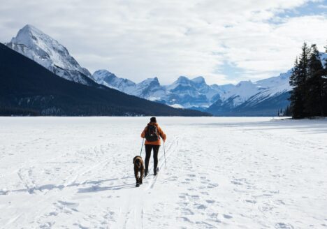 Woman cross country skiing with a dog