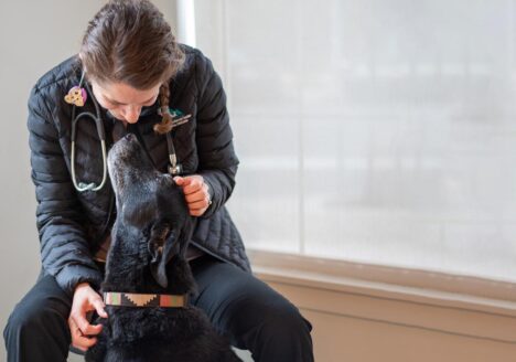 Bend Veterinarian Doctor Couto and a black lab