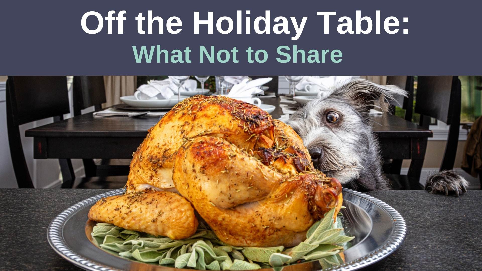 Foods not to share with pets