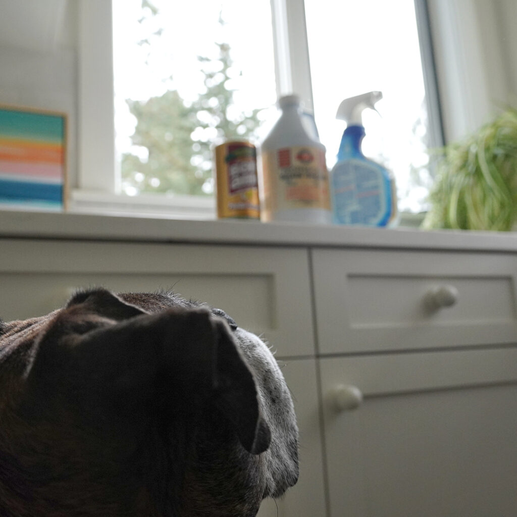 Household cleaners and pet safety