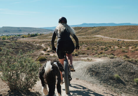 Bike riding with dog