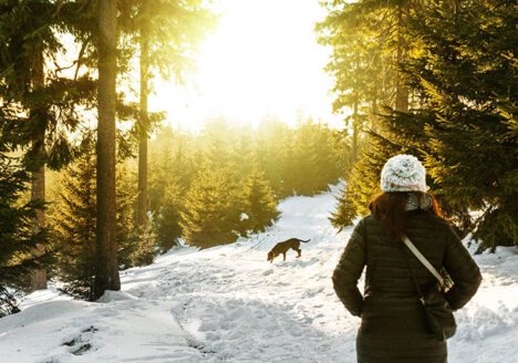 Pet Parent and dog in the snow