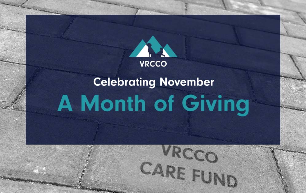 A Month of Giving this November