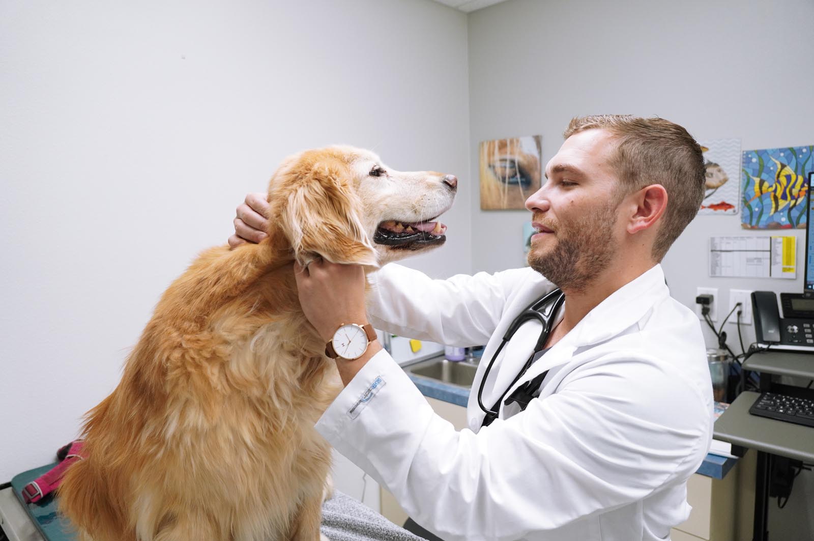 bend veterinarian with golden retriever