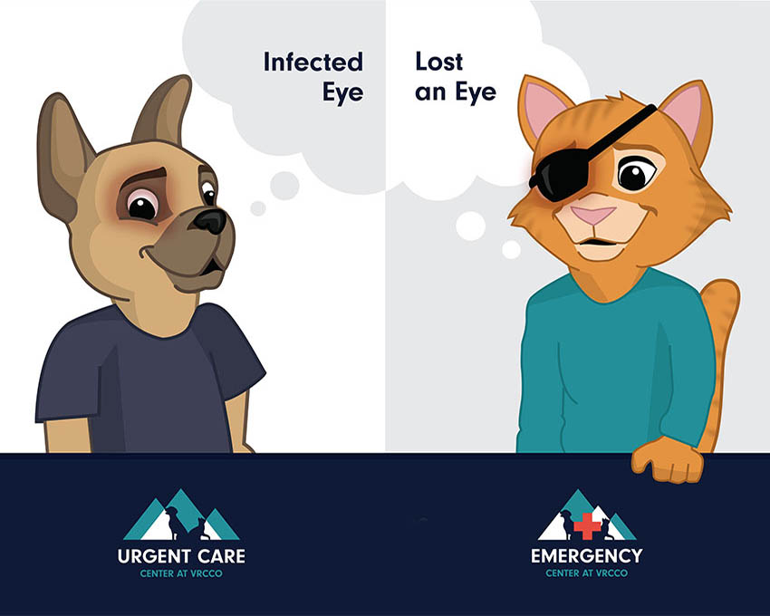 urgent care info graphic
