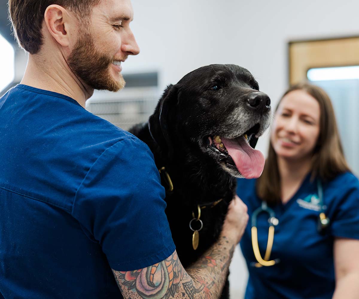 Veterinary technicians with dog