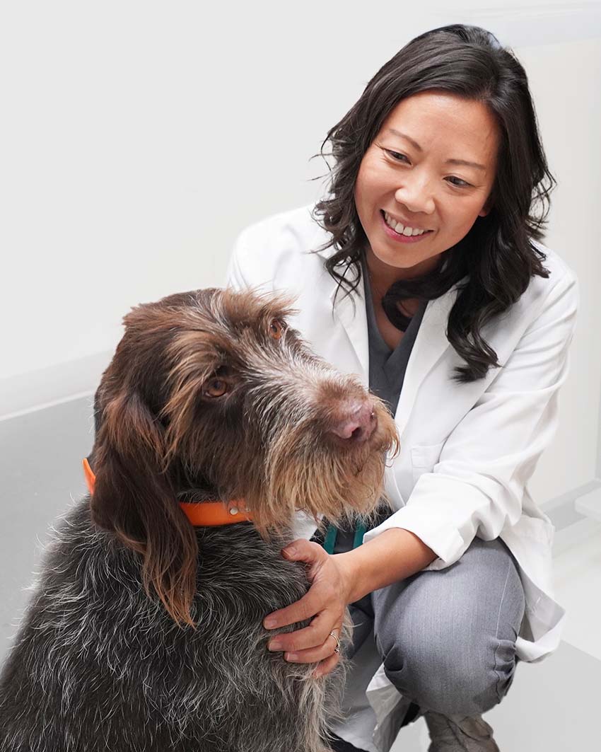 veterinary neurologist with dog