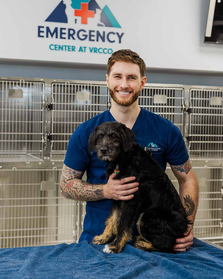 emergency veterinarian technician with dog