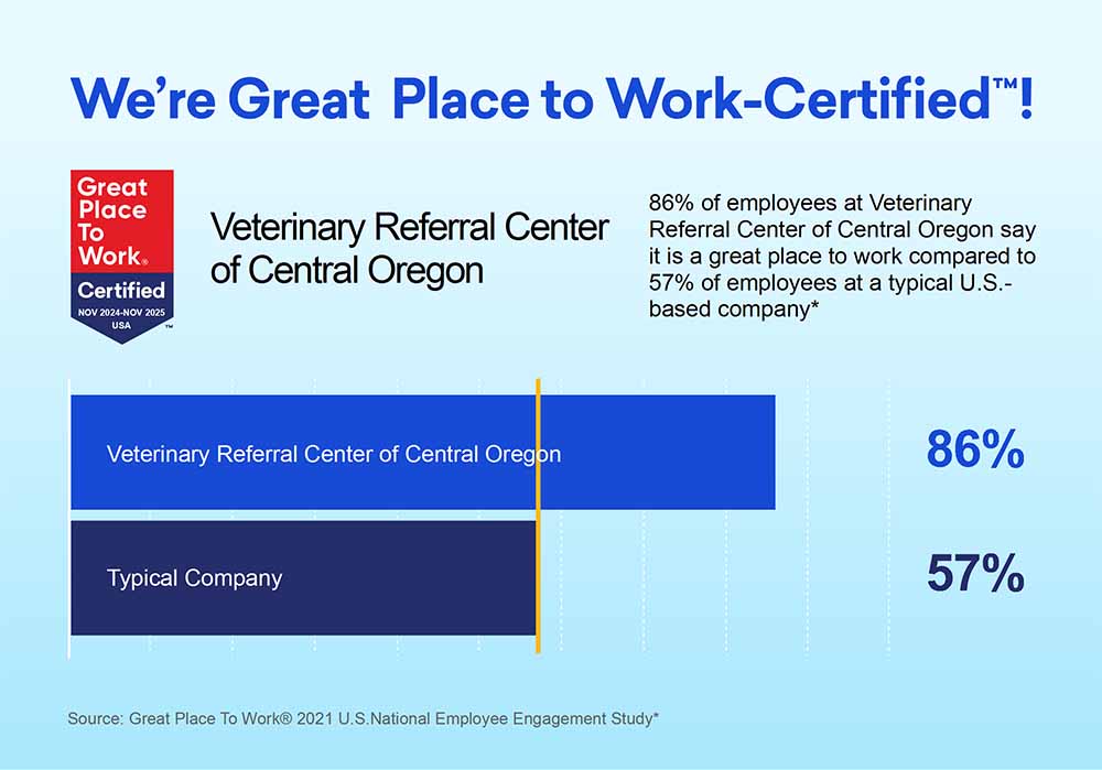 Great Place to Work Certification Image