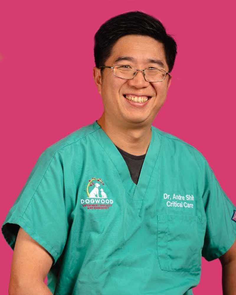 Headshot of Dr. Andre Shih